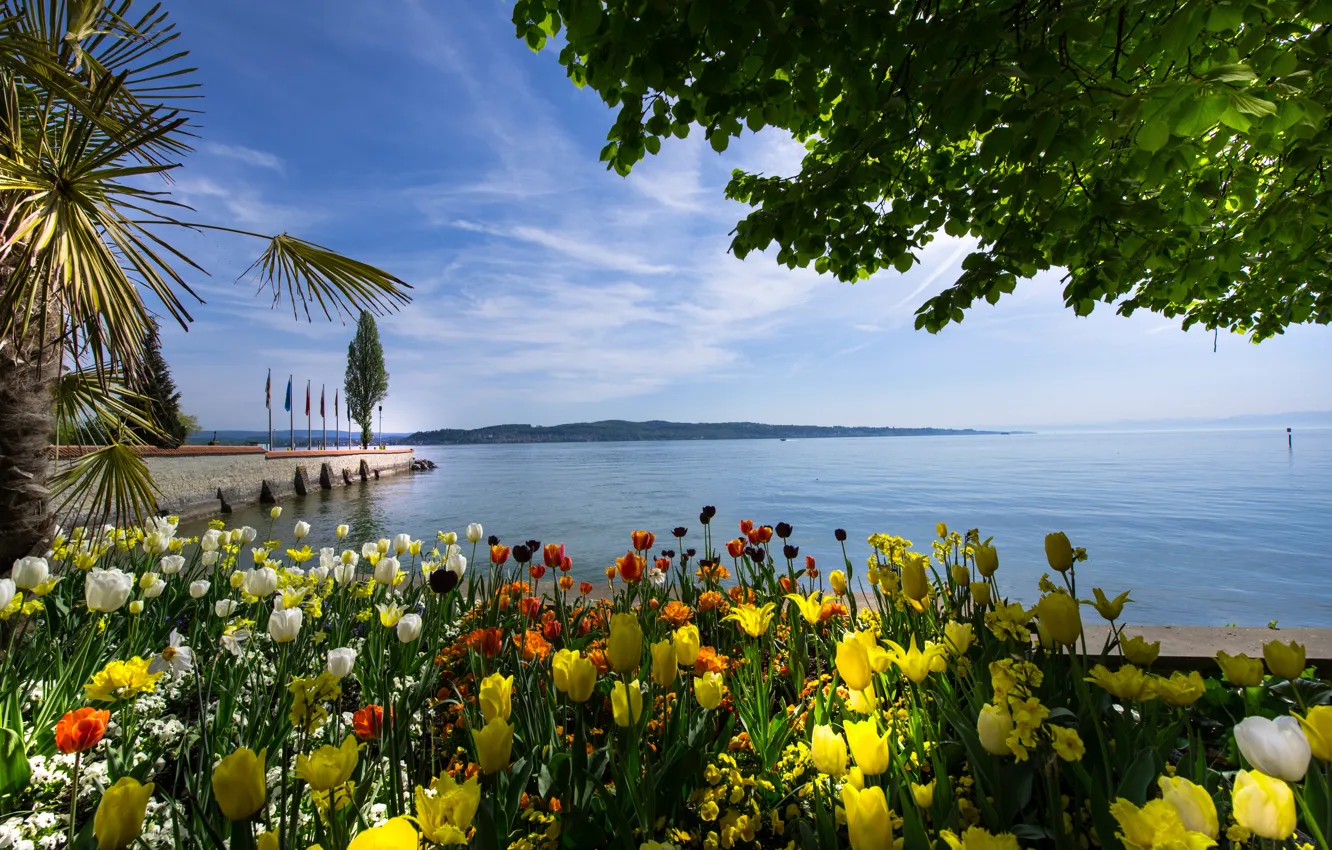 Photo wallpaper water, flowers, lake, Palma, Germany, tulips, flowerbed, promenade