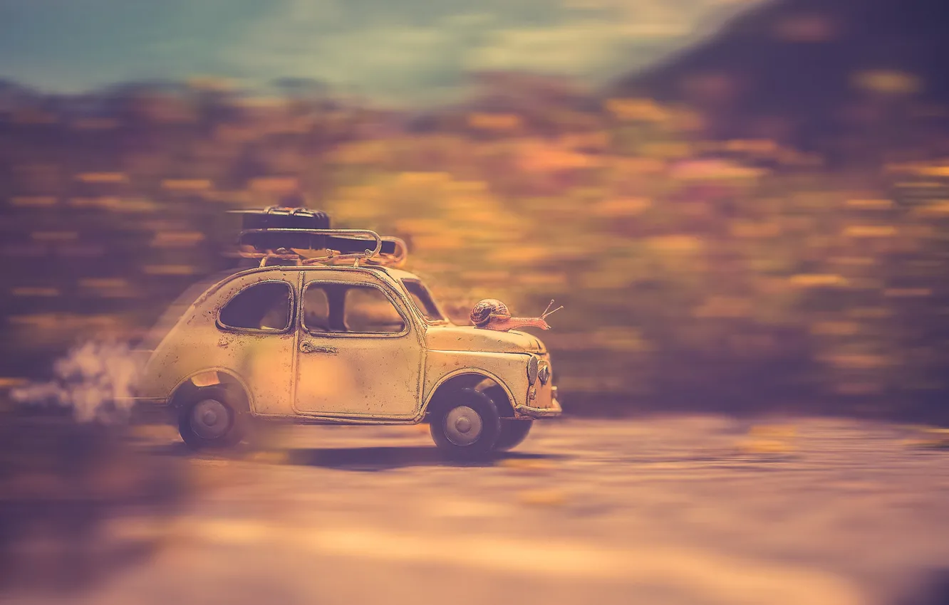 Photo wallpaper snail, machine, riding