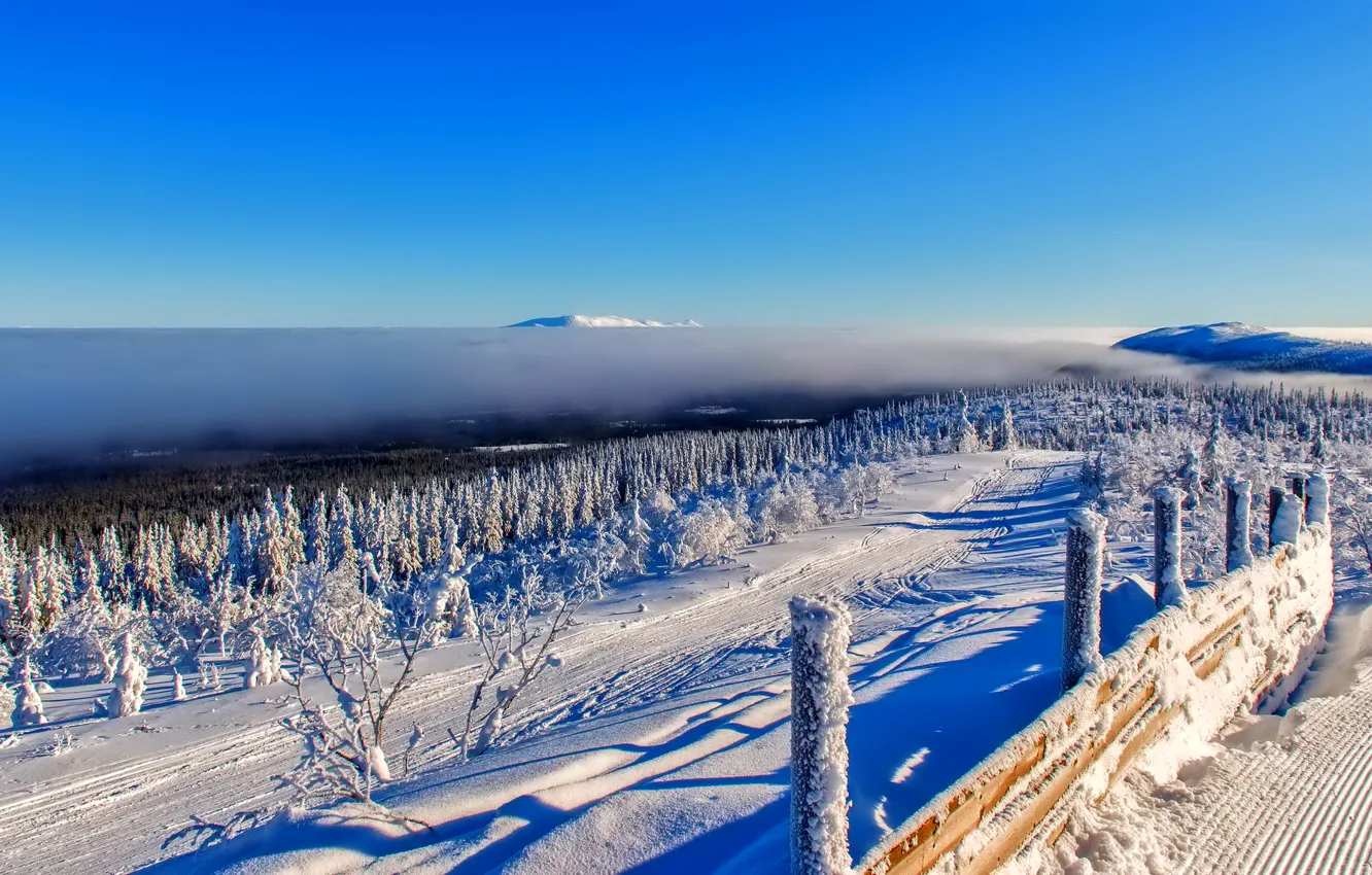 Photo wallpaper winter, forest, the sky, clouds, snow, trees, mountains, the fence
