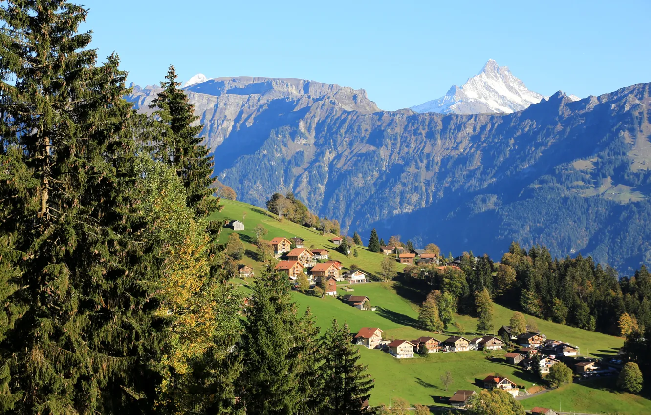 Photo wallpaper trees, mountains, field, home, Switzerland, slope, Beatenberg