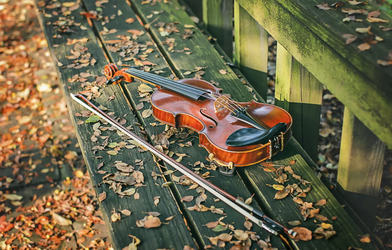 Photo wallpaper music, violin, bench