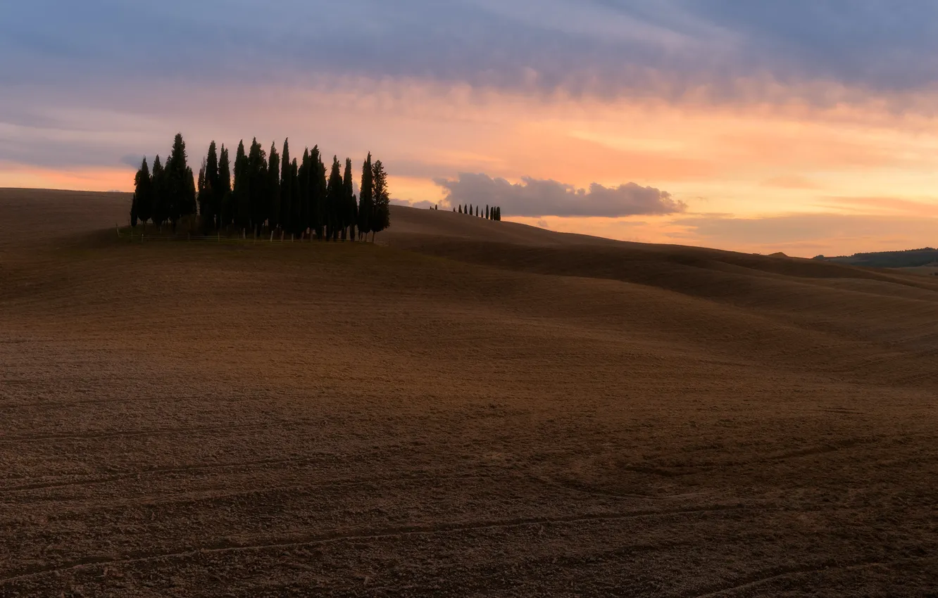 Photo wallpaper field, the sky, clouds, trees, nature, hills, space, Italy