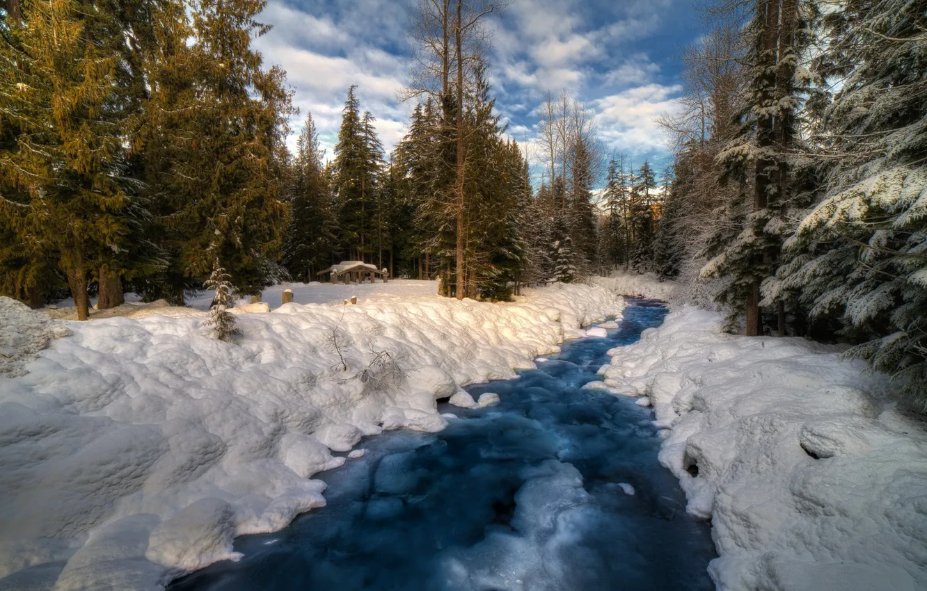 Photo wallpaper winter, forest, snow, nature, river