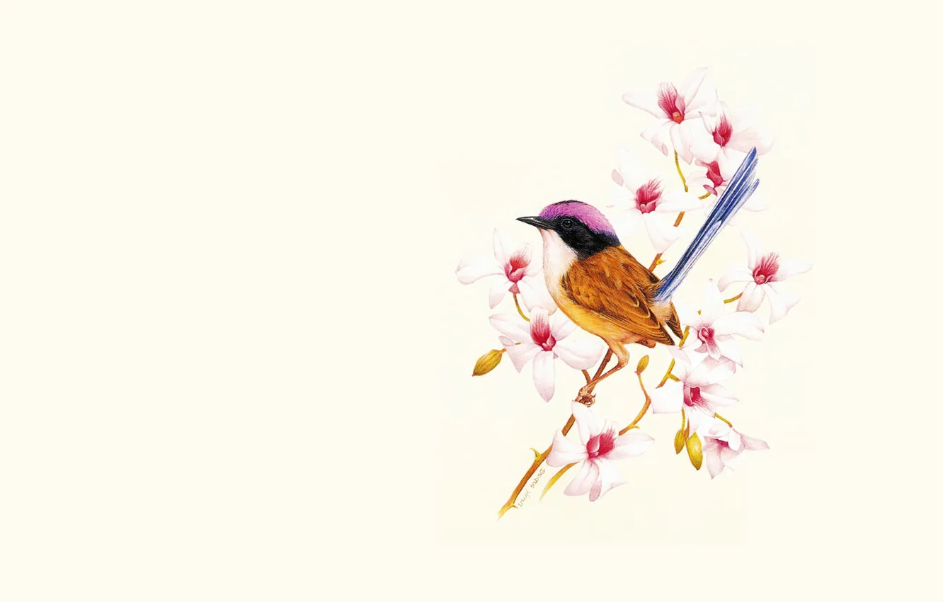 Photo wallpaper flowers, sprig, figure, art, bird