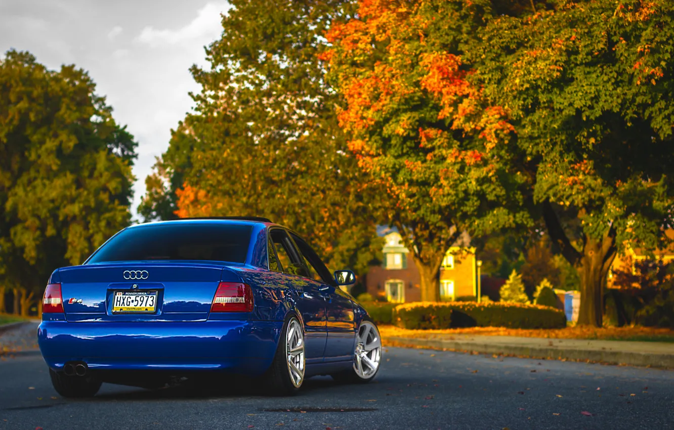 Photo wallpaper Audi, Audi, blue, blue