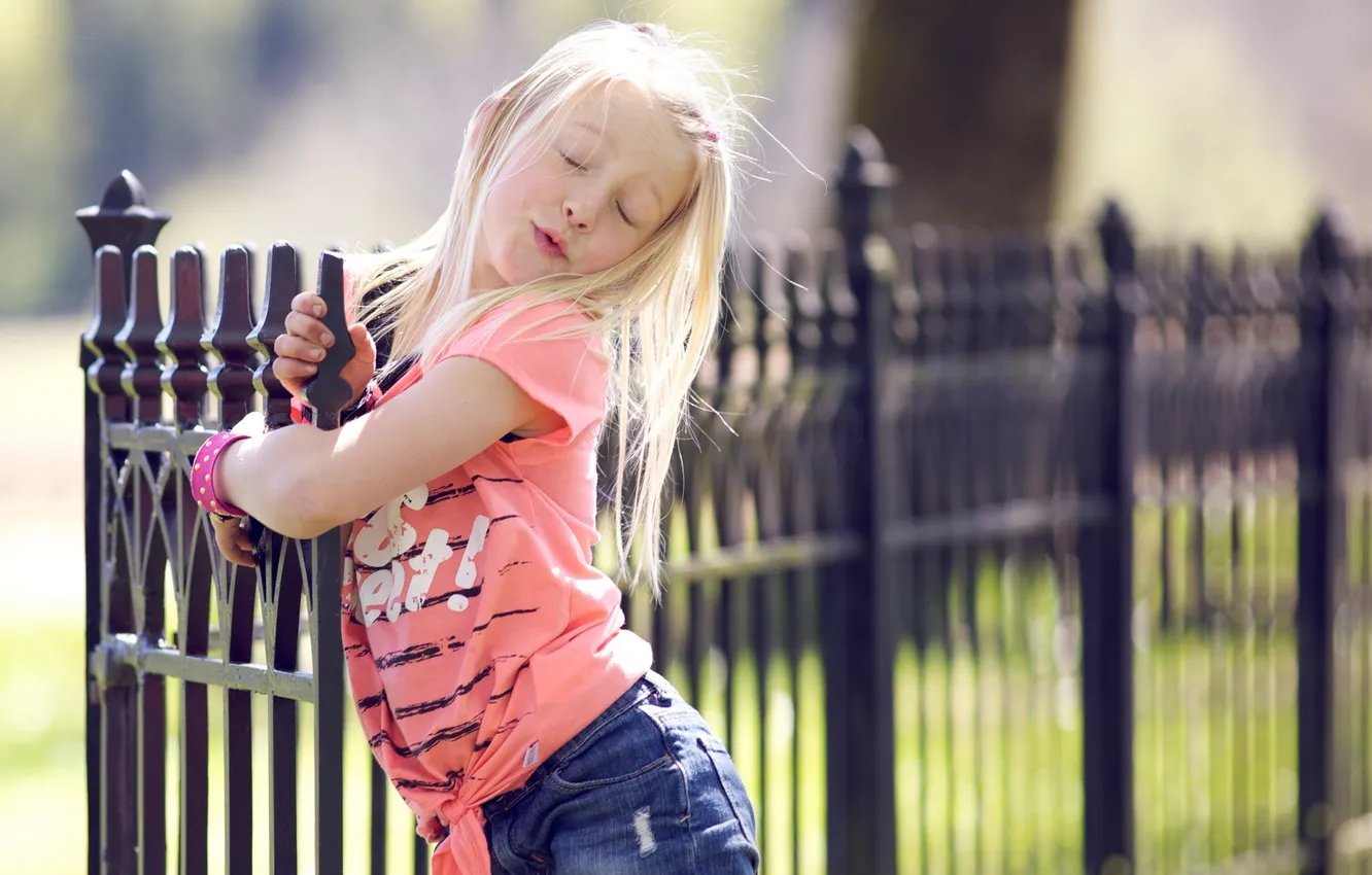 Photo wallpaper background, the fence, were