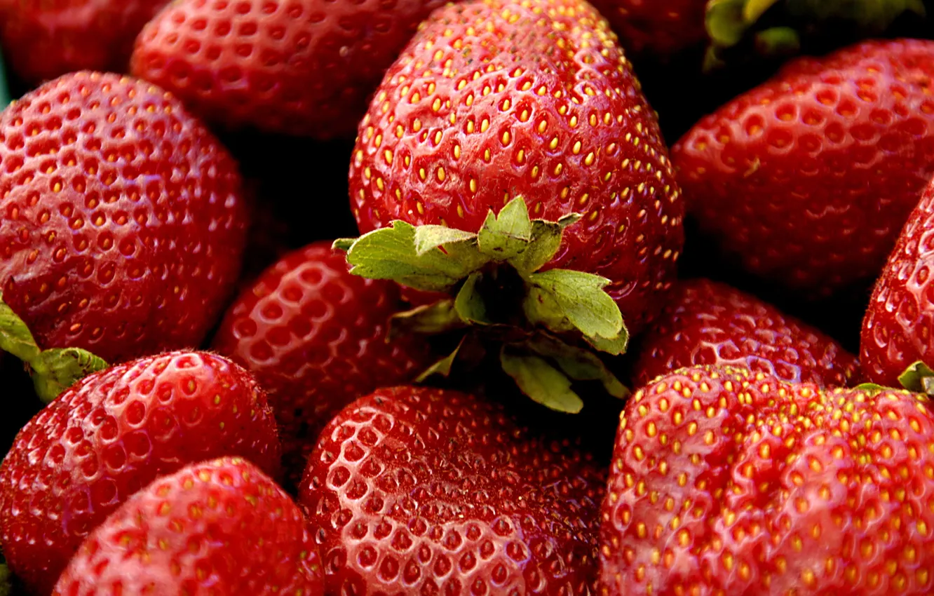 Photo wallpaper berries, harvest, strawberry, vitamins, the garden