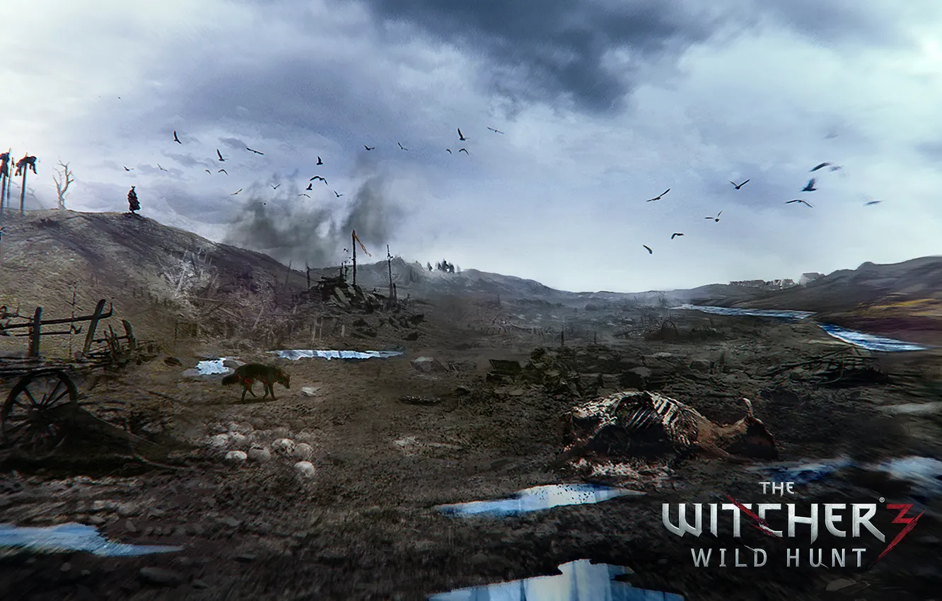 Photo wallpaper battlefield, The Witcher 3: Wild Hunt, The Witcher 3: wild hunt
