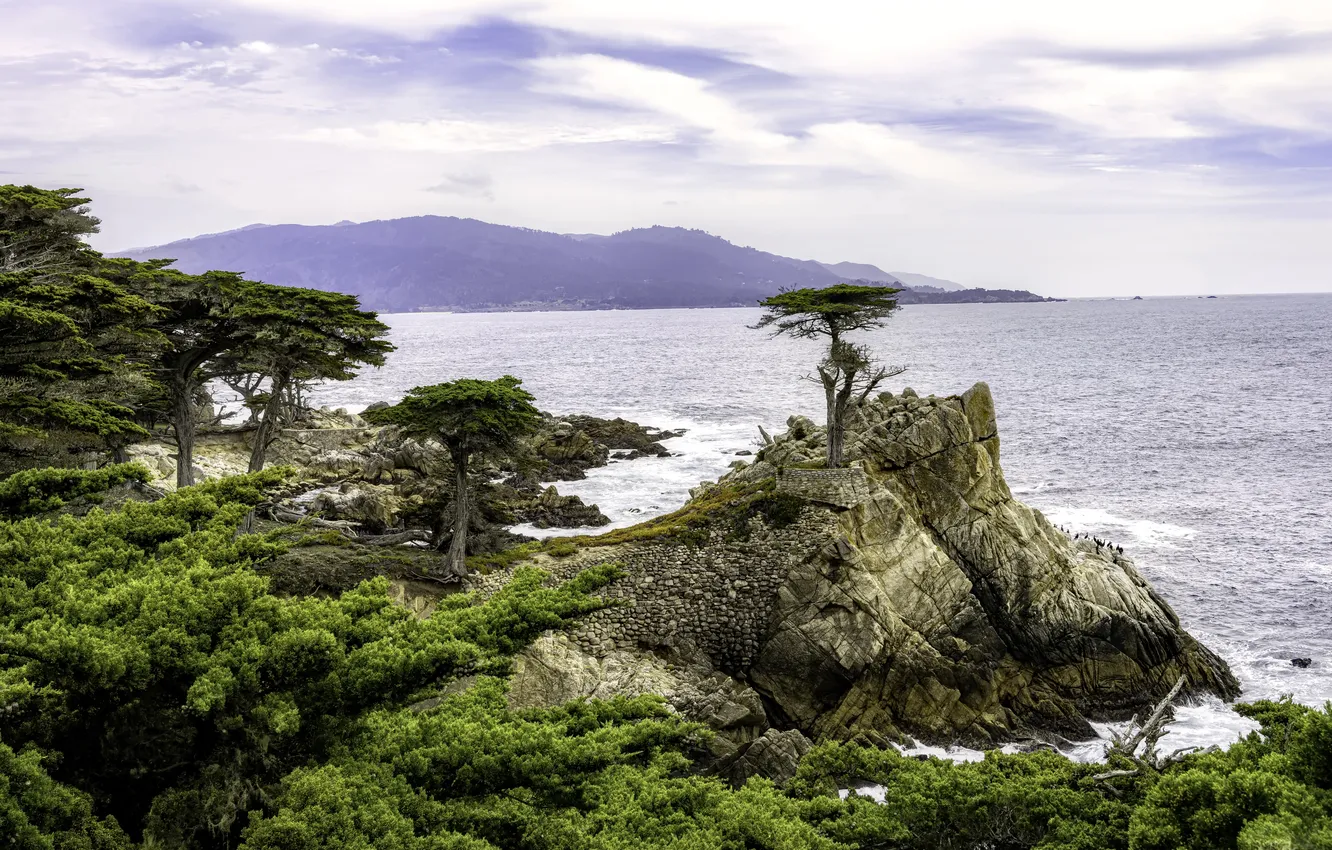 Photo wallpaper United States, California, Del Monte Forest