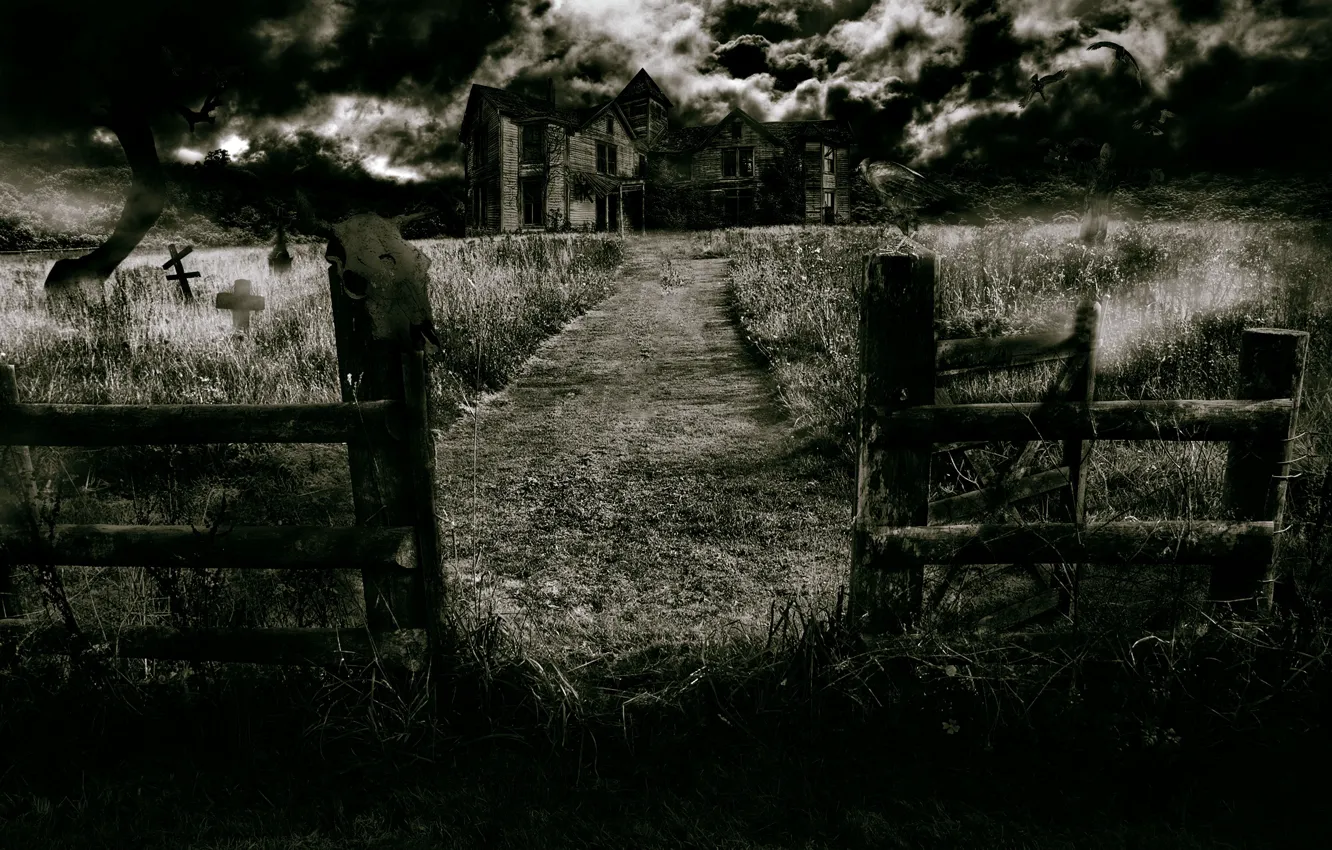 Photo wallpaper forest, night, fog, skull, home, Raven