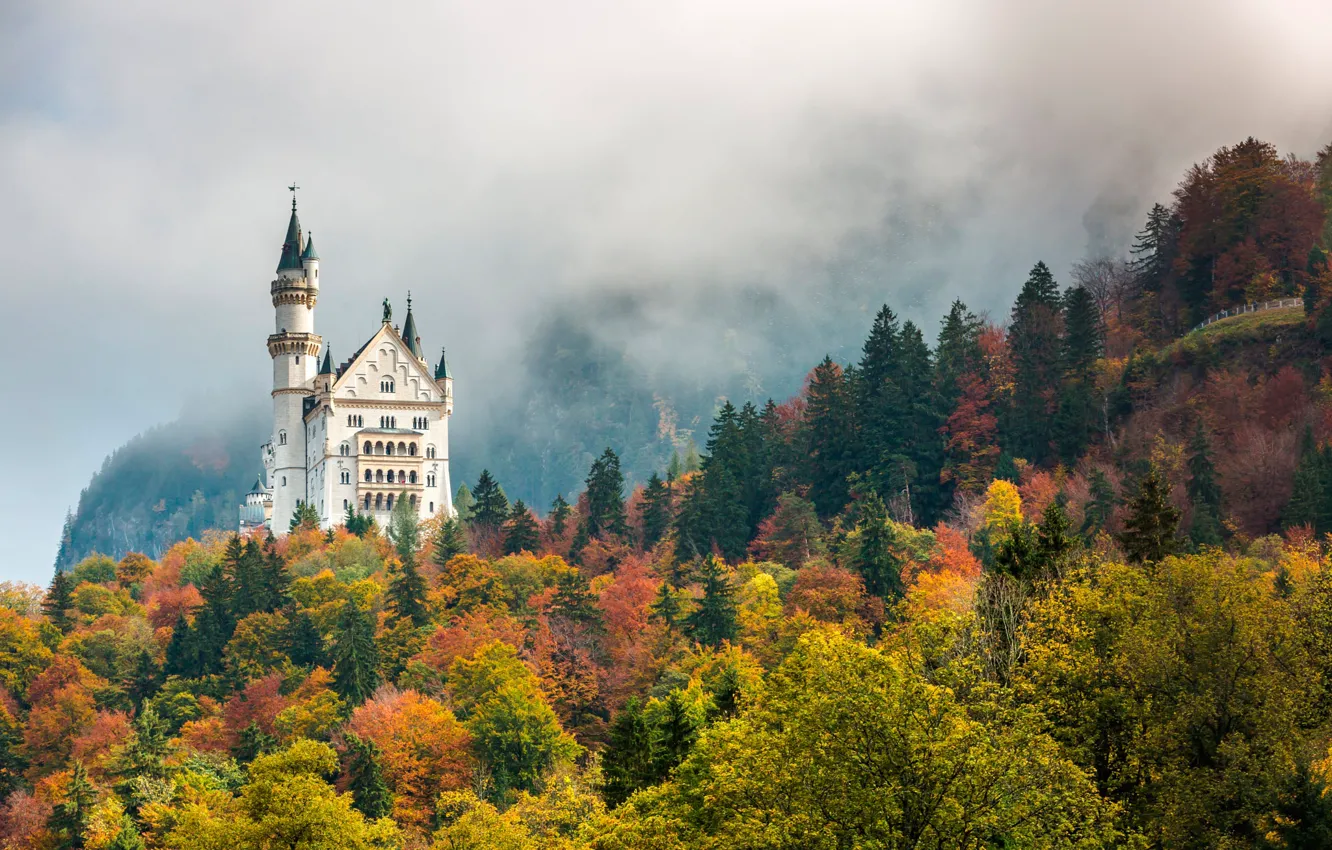 Photo wallpaper autumn, forest, trees, mountains, fog, castle, Germany, Bayern