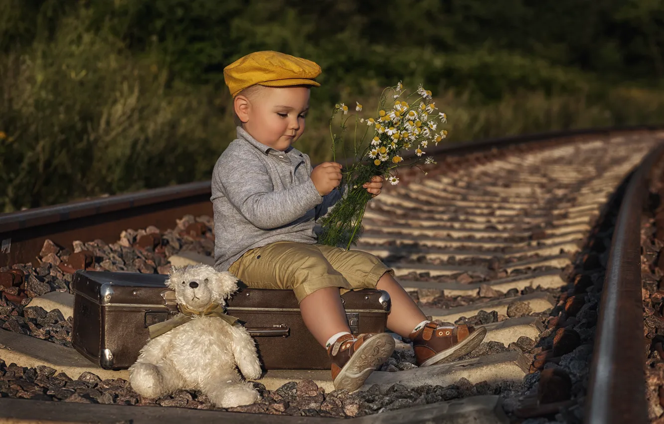 Photo wallpaper flowers, toy, rails, chamomile, boy, railroad, bear, cap