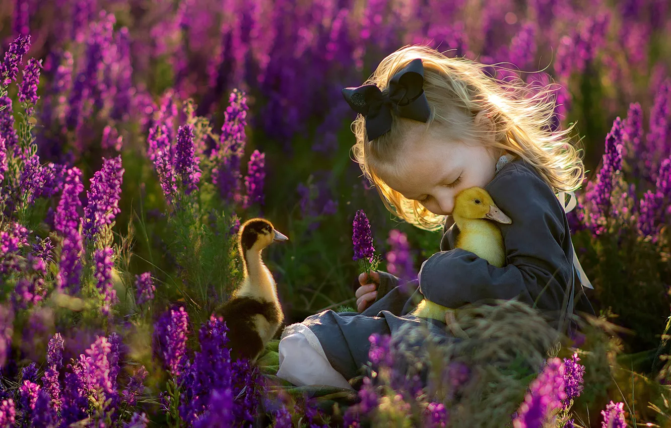 Photo wallpaper flowers, nature, children, tenderness, girl, weasel, duck, Chicks