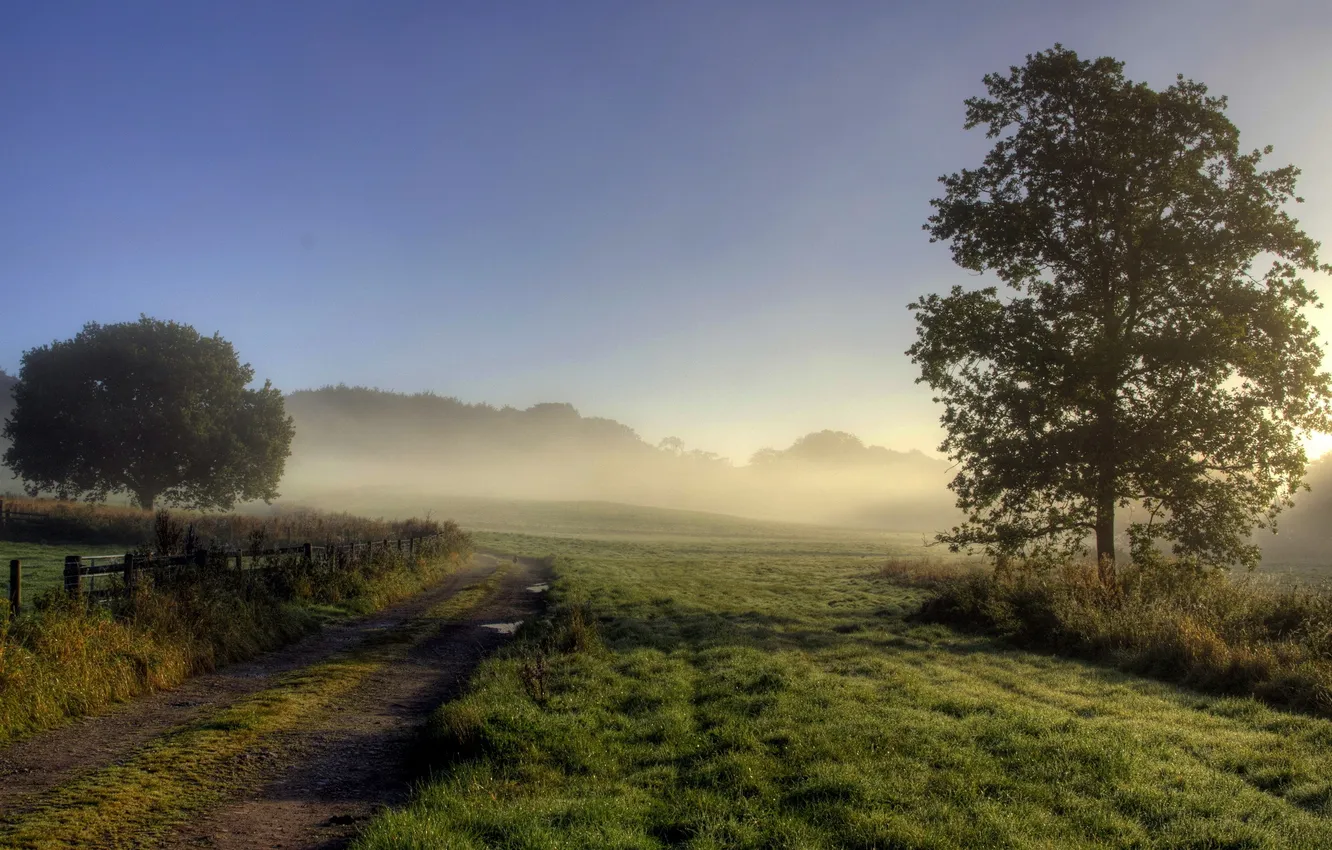 Photo wallpaper road, field, landscape, fog