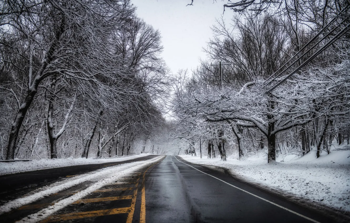 Photo wallpaper winter, road, snow