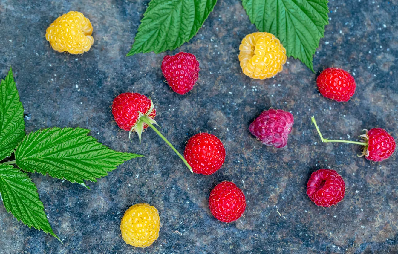 Photo wallpaper leaves, berries, raspberry, background, bokeh