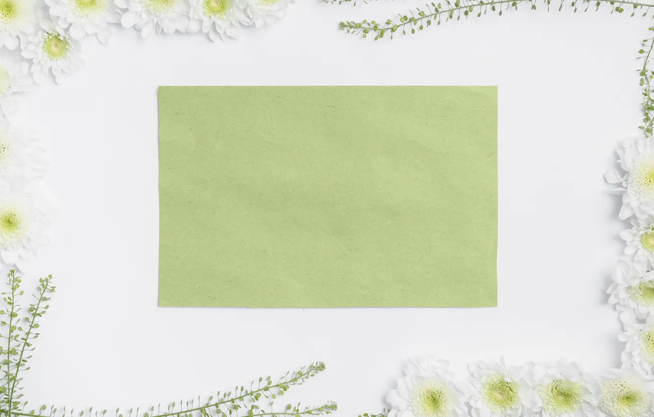 Photo wallpaper flowers, paper, chrysanthemum