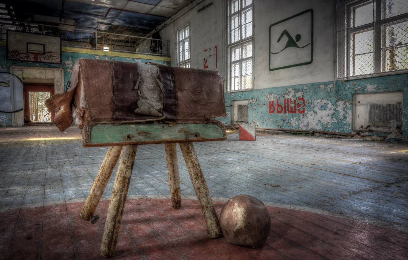 Photo wallpaper horse, sport, hall