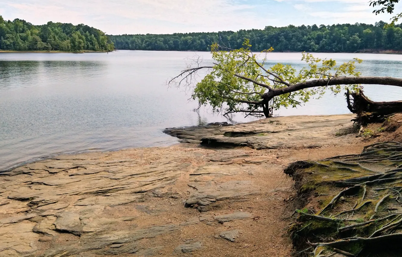 Photo wallpaper North Carolina, Raleigh, Falls Lake, lake