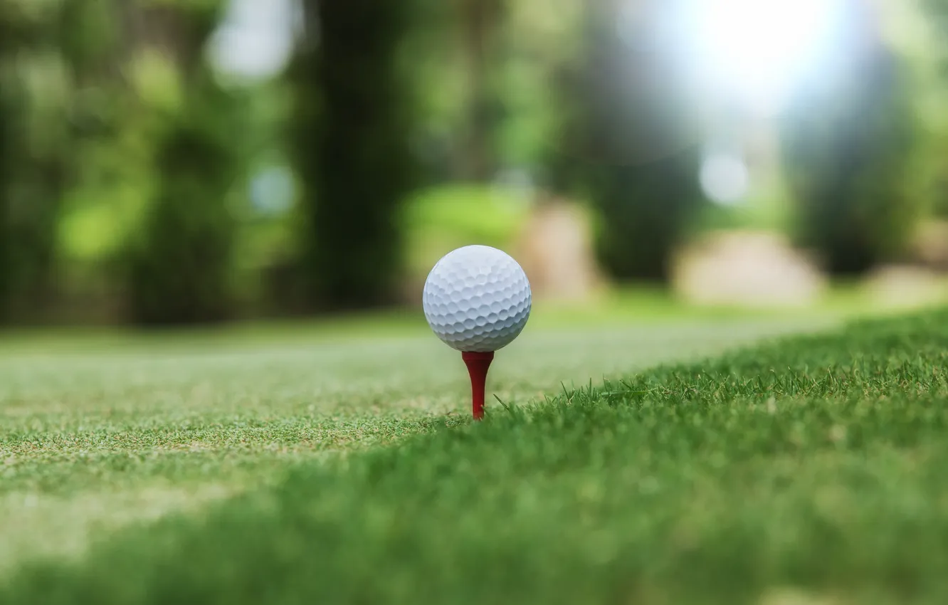 Photo wallpaper sport, the ball, Golf