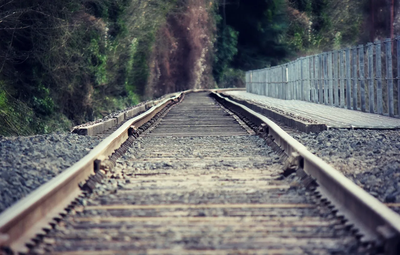 Photo wallpaper road, leaves, macro, trees, nature, background, widescreen, Wallpaper