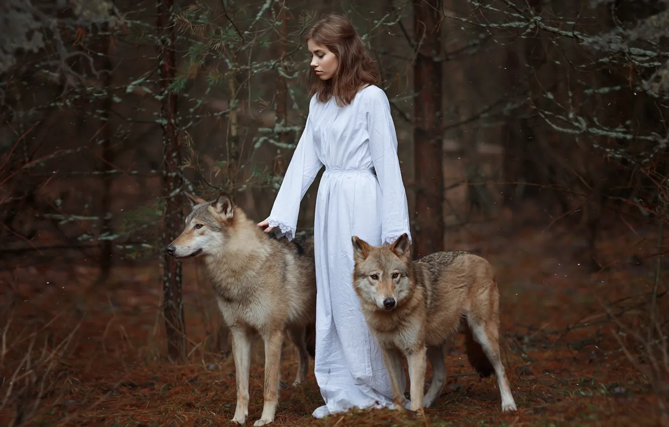 Photo wallpaper forest, girl, wolves, Svetlana Nicotine