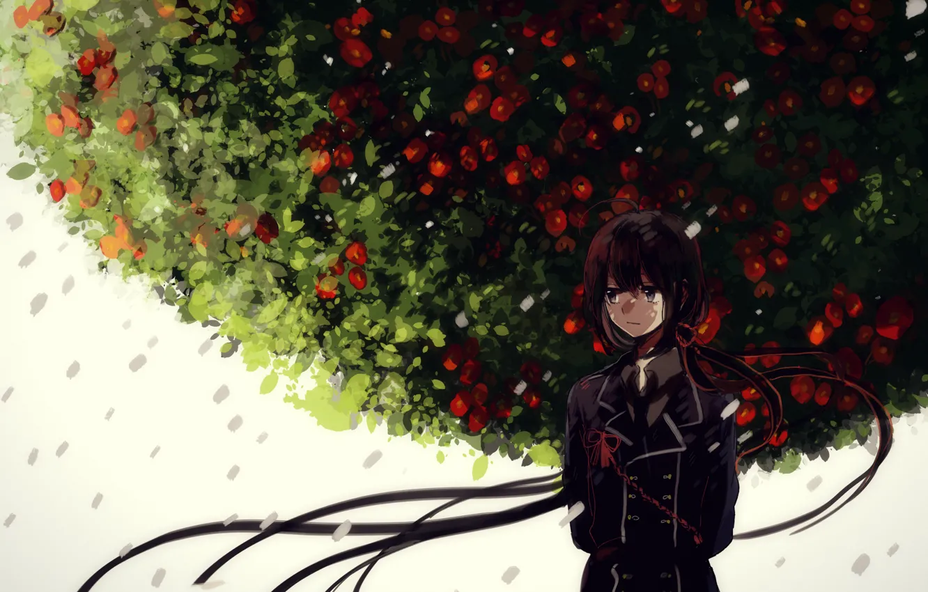 Photo wallpaper flowers, art, male, canarinu kmes, Touken Ranbu, Namazu Toshiro, Namazuo Toushirou