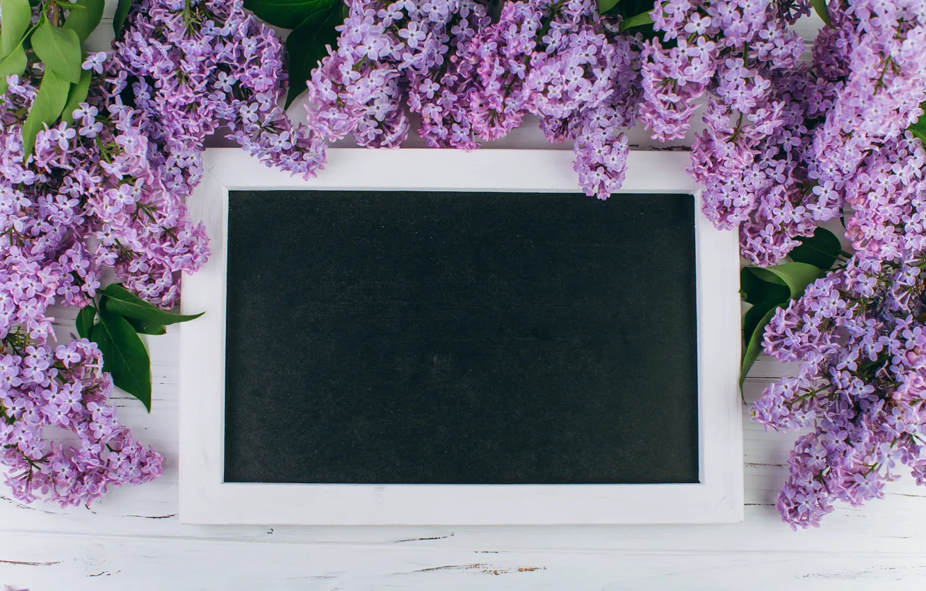 Photo wallpaper flowers, branches, Board, spring, frame, flowering, wood, blossom