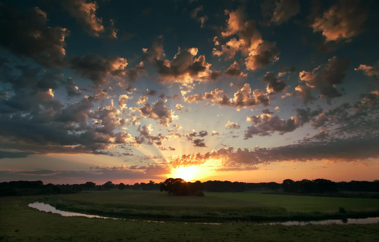 Photo wallpaper field, the sky, the sun, clouds, trees, sunset, river