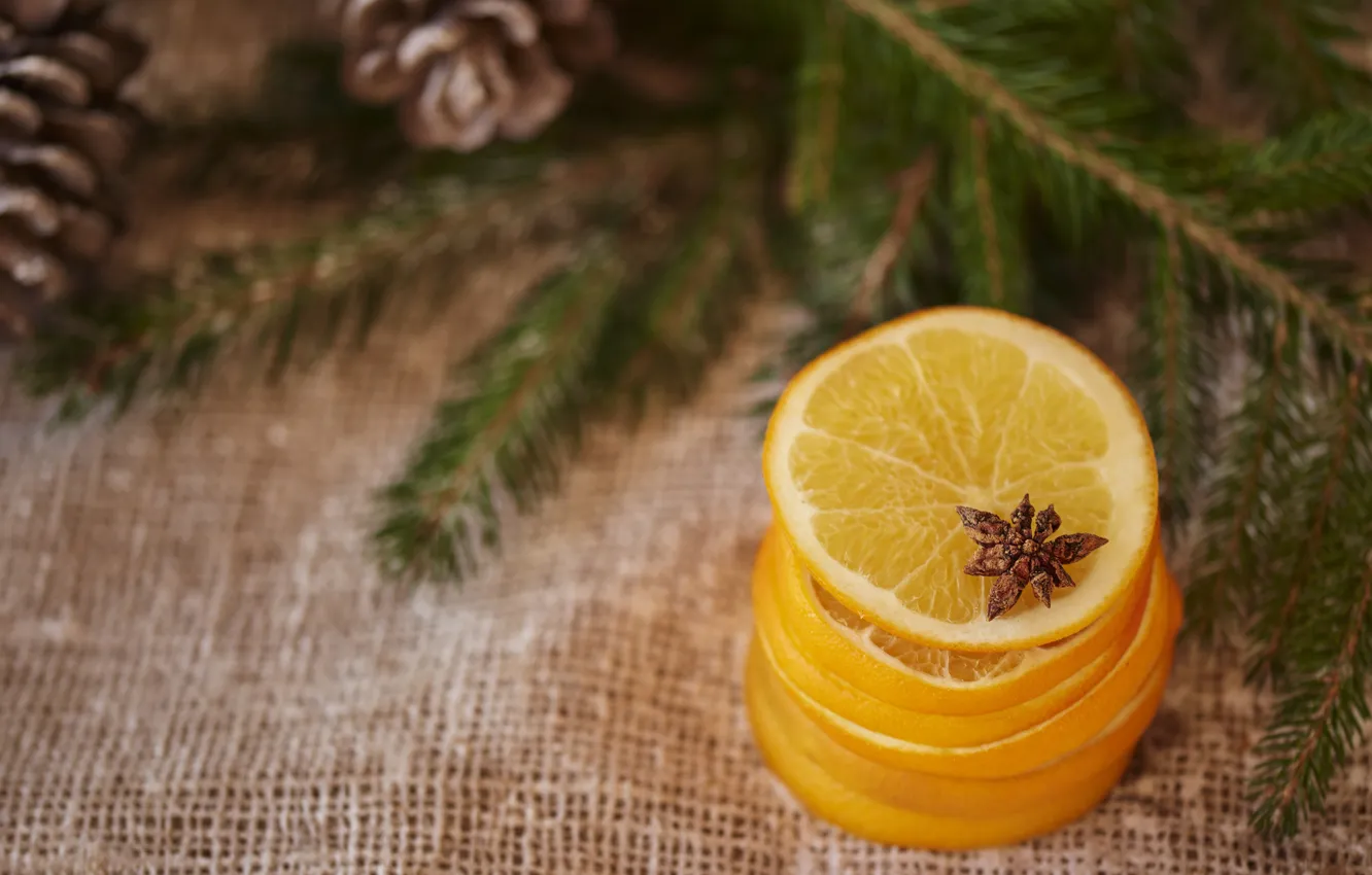 Photo wallpaper branches, Board, new year, orange, Christmas, needles, bumps, burlap