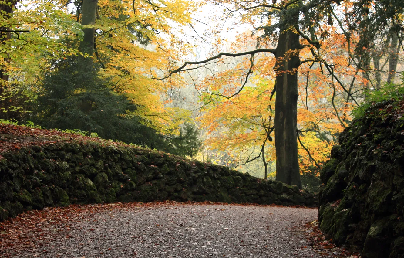 Photo wallpaper autumn, Park, foliage, colors, alley, trees, park, autumn