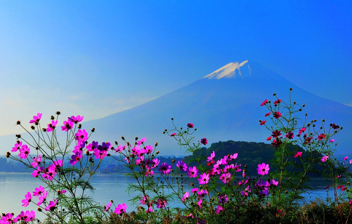 Photo wallpaper the sky, flowers, mountain, Japan, Fuji, fuji