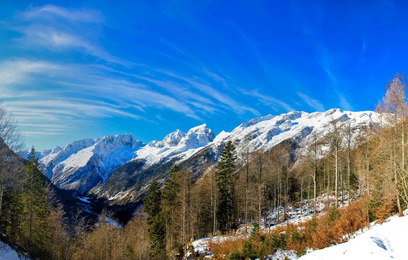 Photo wallpaper The sky, Mountains, Forest, Slovenia