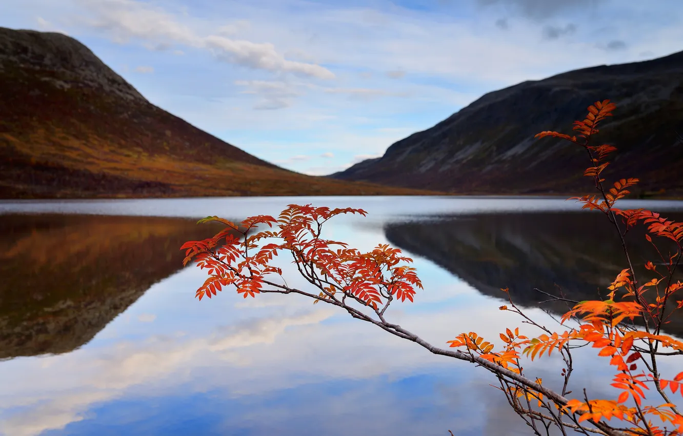 Photo wallpaper autumn, the sky, mountains, branches, lake