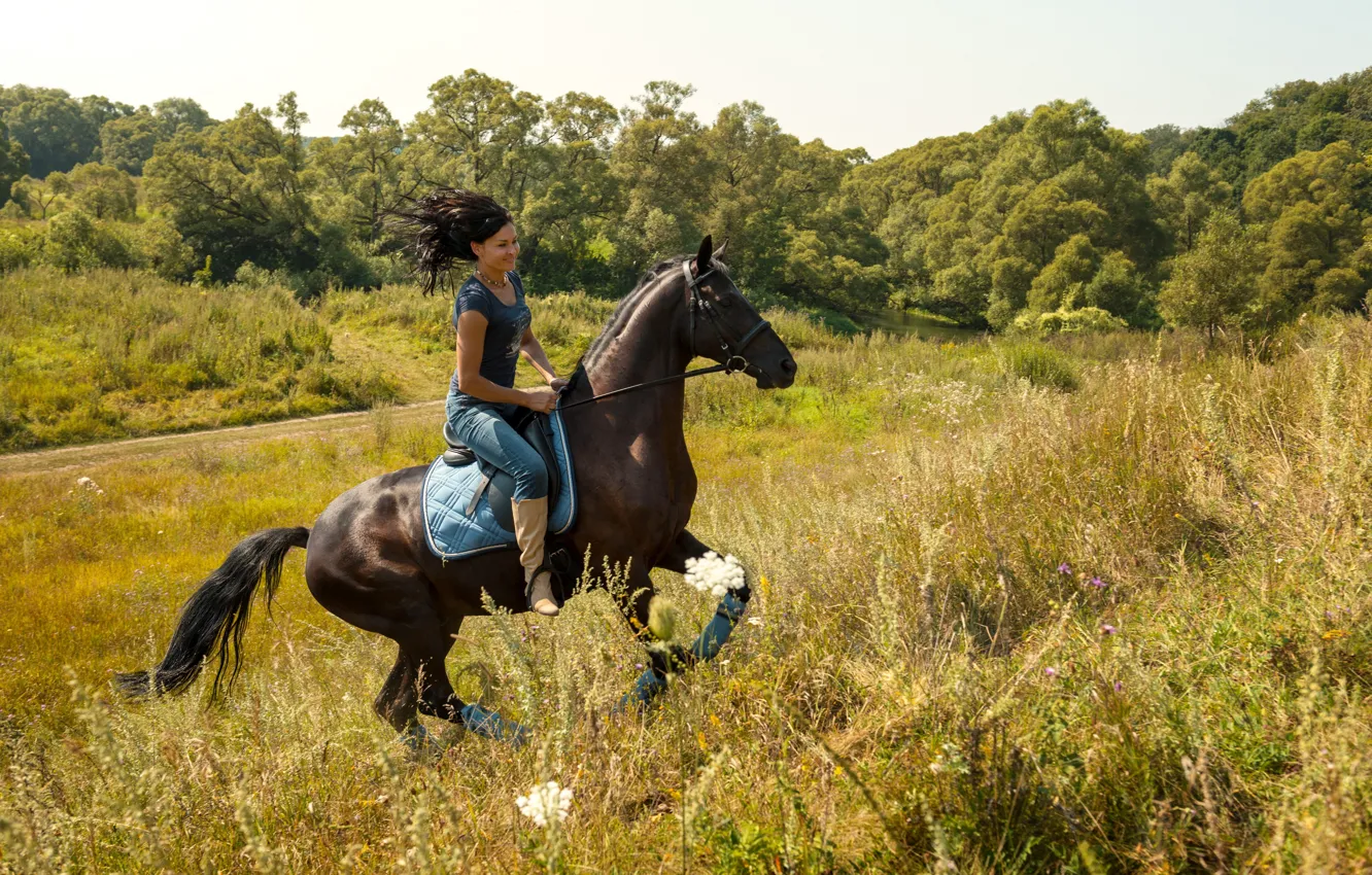 Photo wallpaper summer, grass, girl, the sun, trees, nature, glade, horse