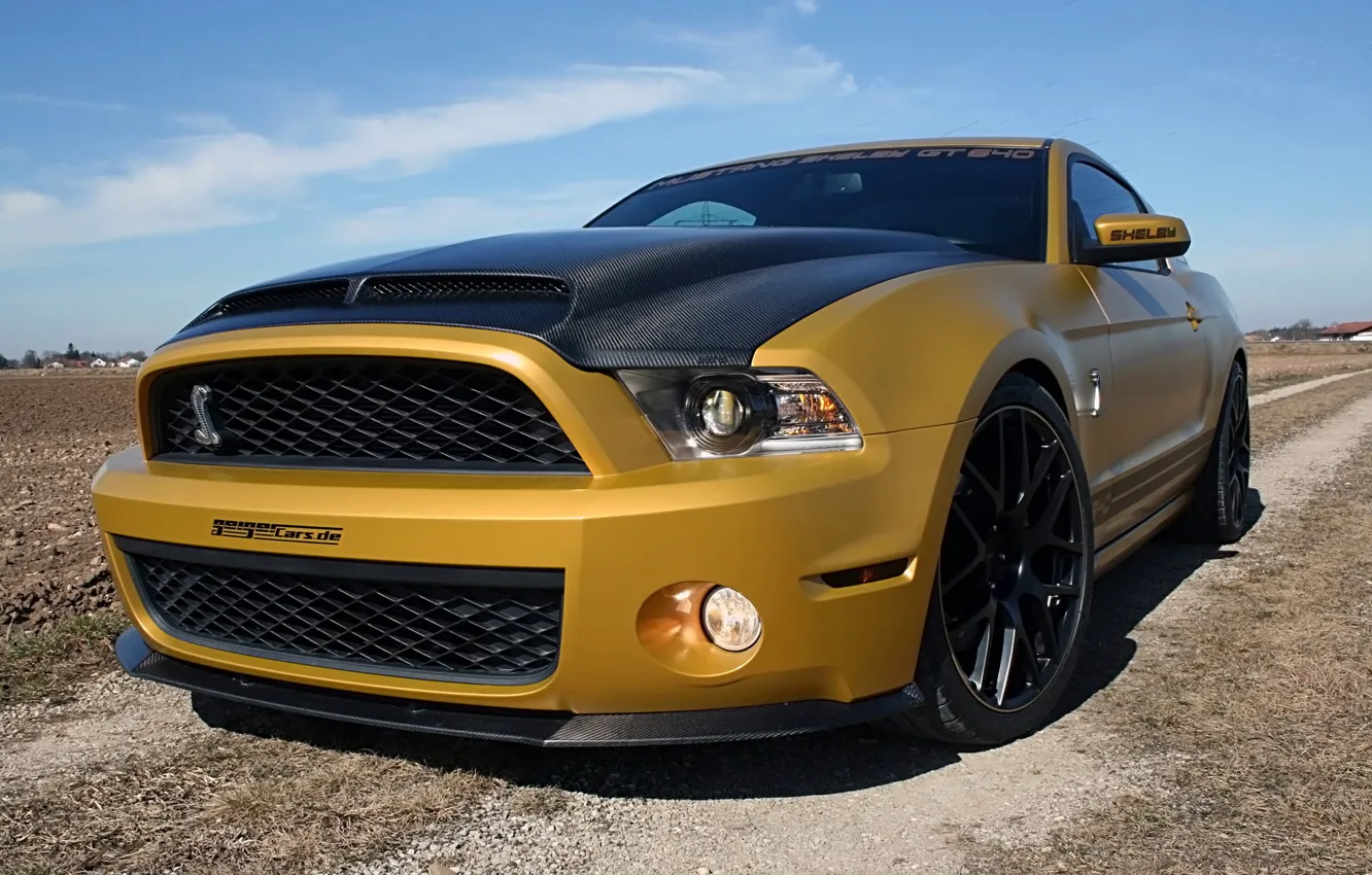 Photo wallpaper Mustang, Ford, Shelby, 2011, Snake, Golden, GT640, GeigerCars