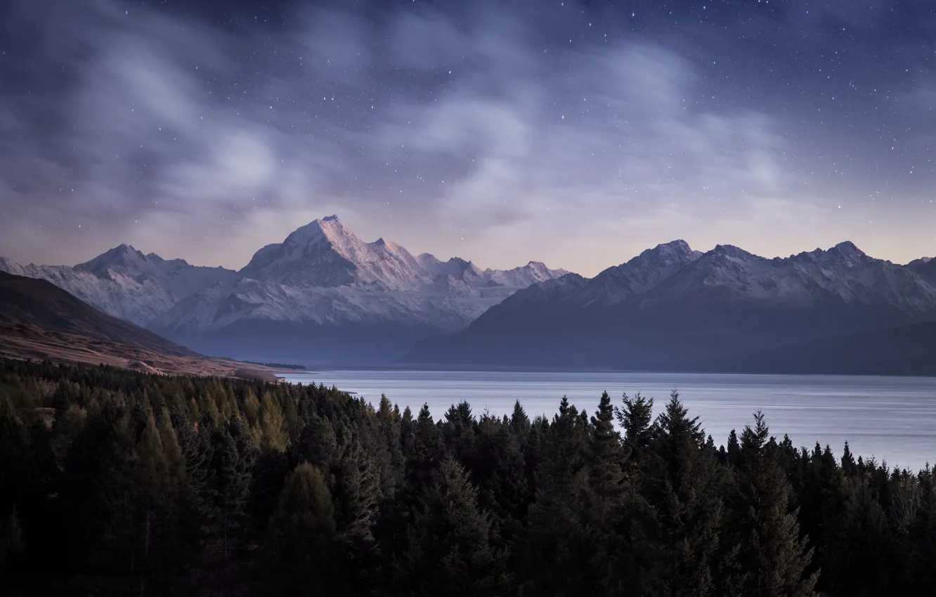 Photo wallpaper forest, stars, mountains, night