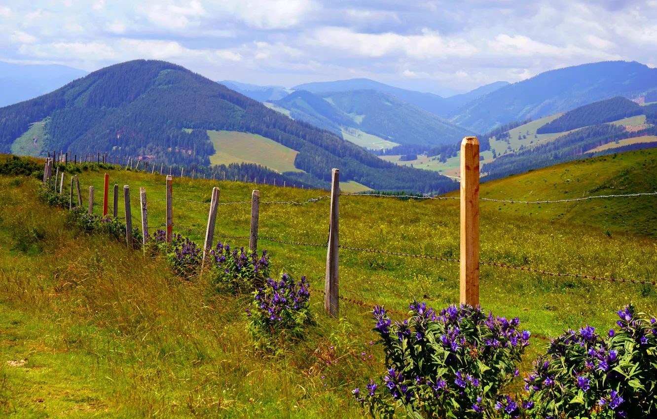 Photo wallpaper flowers, mountains, the fence