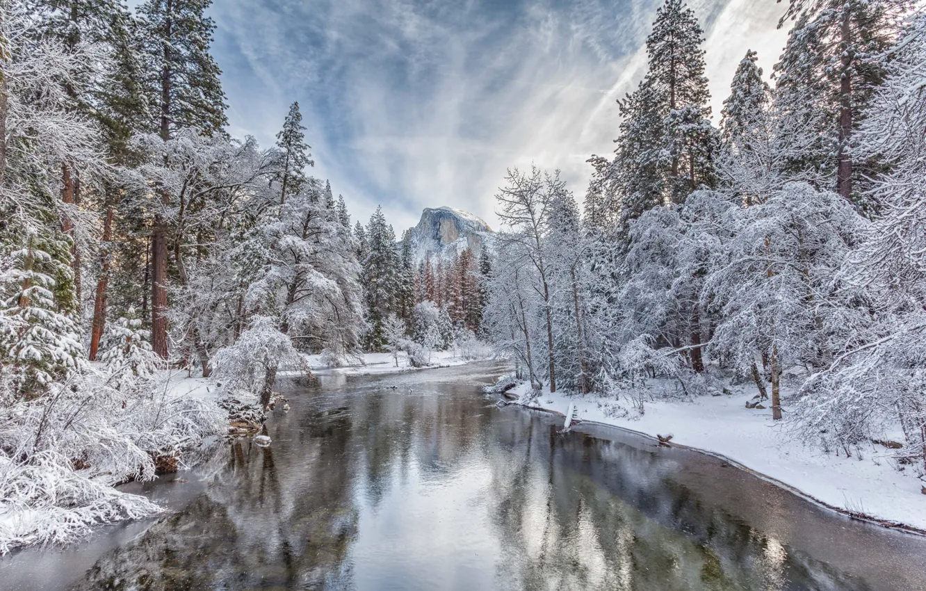 Photo wallpaper winter, forest, snow, trees, mountains, river, CA, California