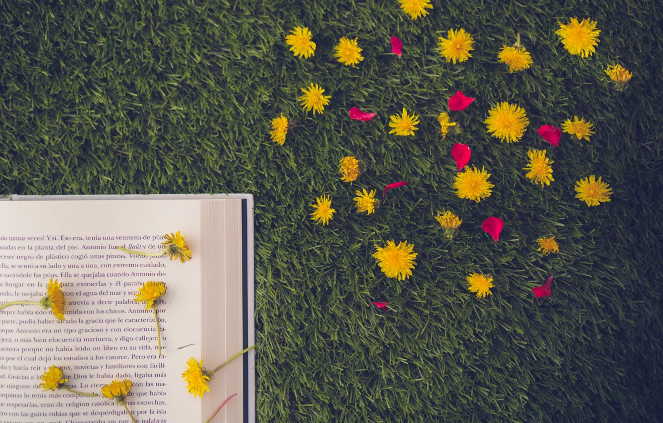 Photo wallpaper grass, flowers, petals, book, page