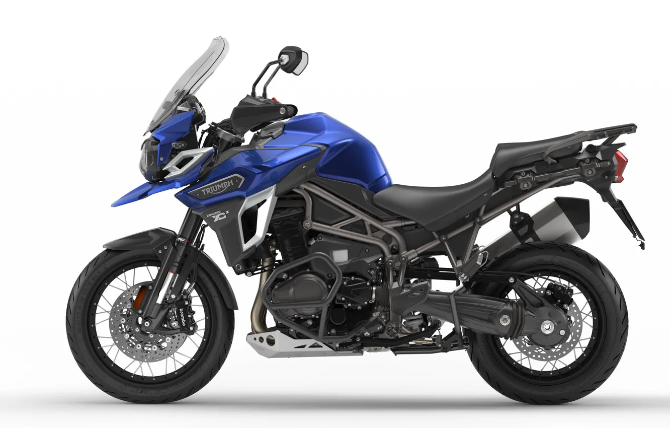 Photo wallpaper tiger, motorcycle, Triumph, 2016, 1200