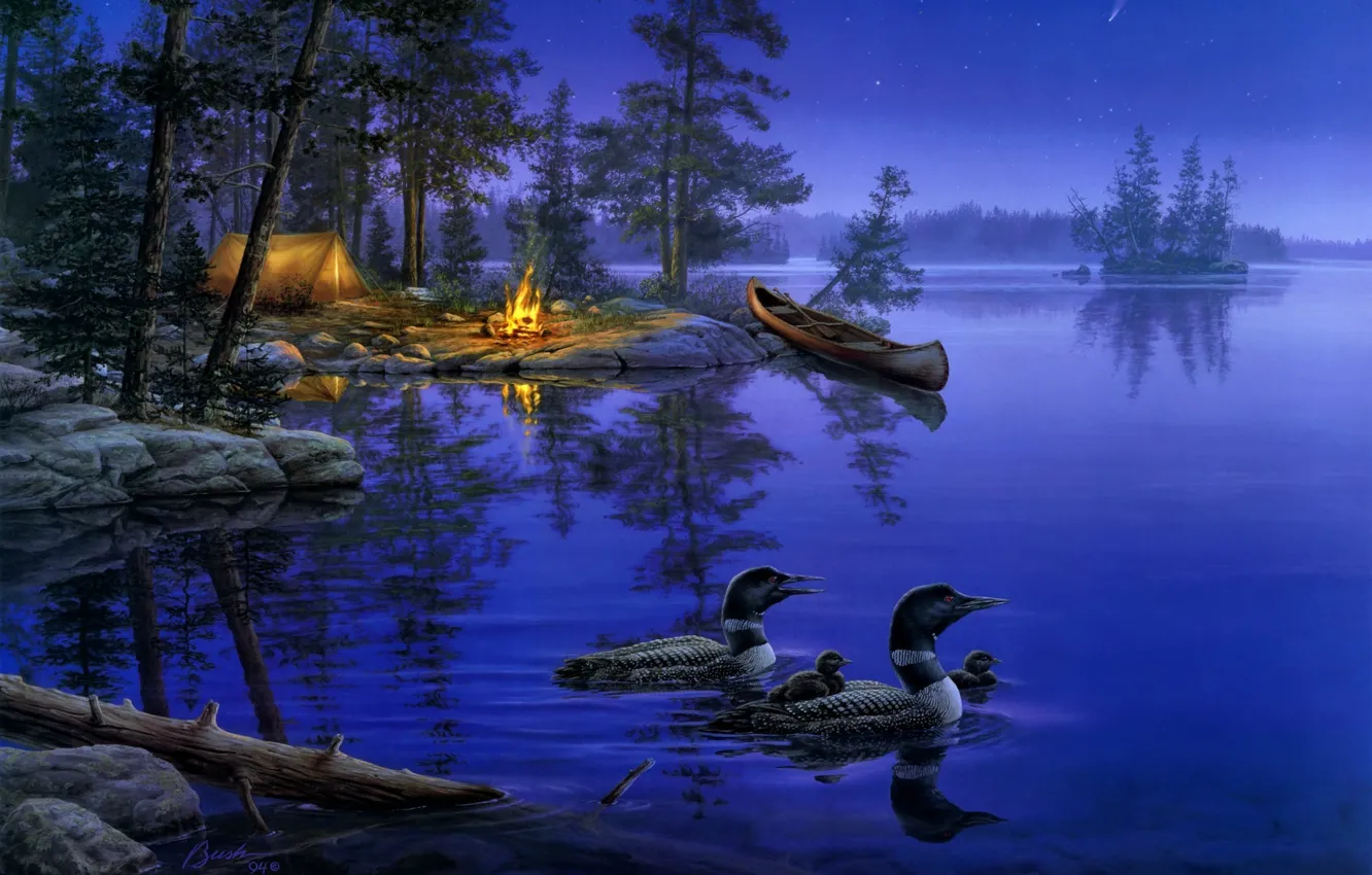 Photo wallpaper forest, night, nature, lake, fire, boat, star, duck