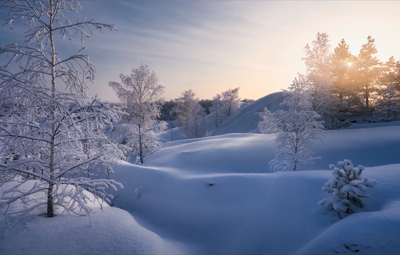 Photo wallpaper winter, snow, trees, the snow, Russia, Alexey Bagaryakov