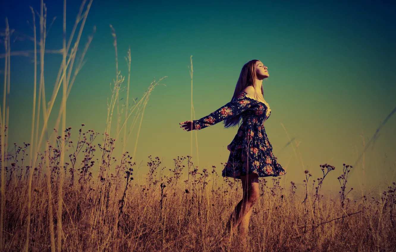 Photo wallpaper field, the sky, girl, the sun, flight
