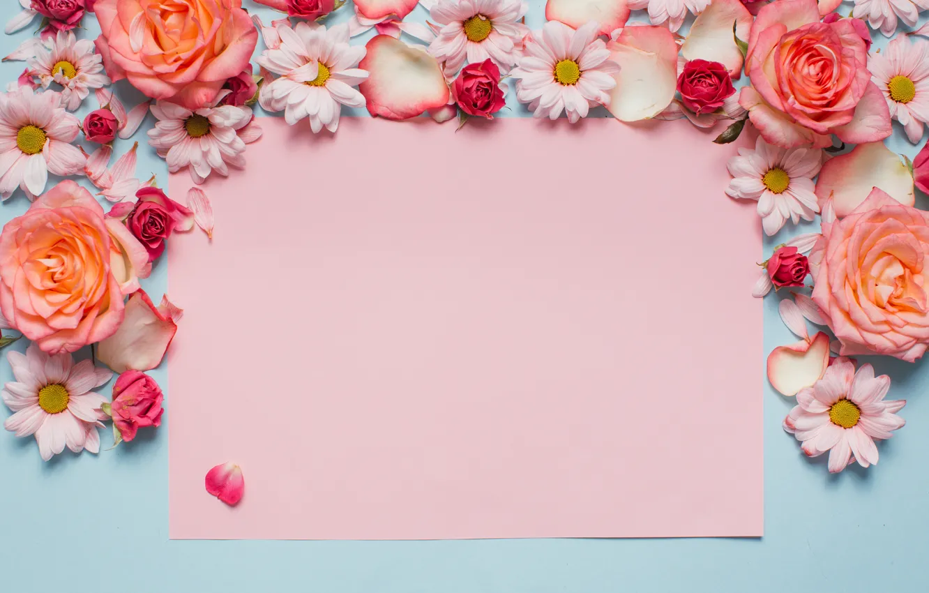 Photo wallpaper flowers, roses, chamomile, pink, fresh, wood, pink, flowers