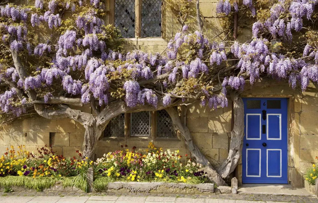 Photo wallpaper flowers, house, England, the door