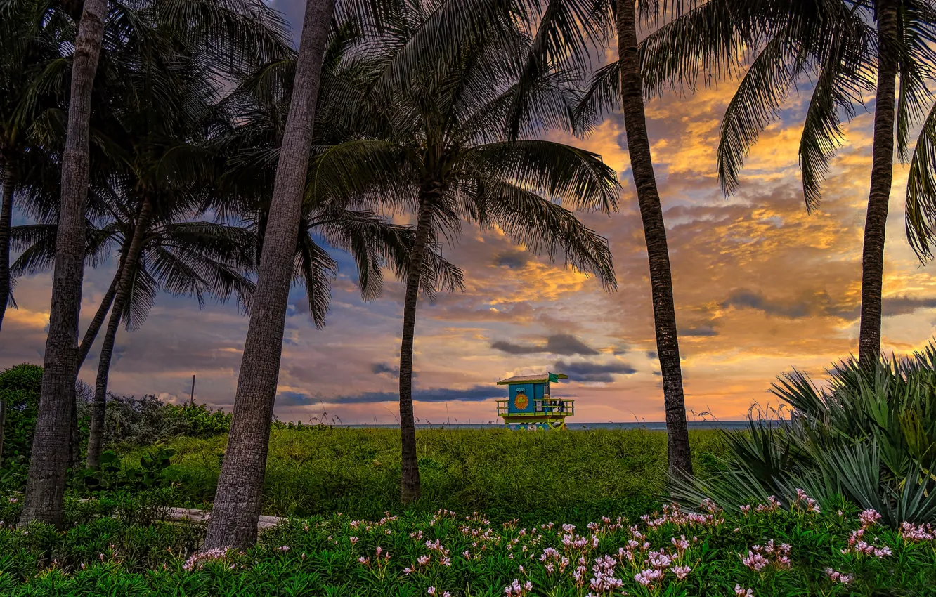 Photo wallpaper sunset, flowers, palm trees, coast, FL, Florida, Miami Beach, Miami Beach