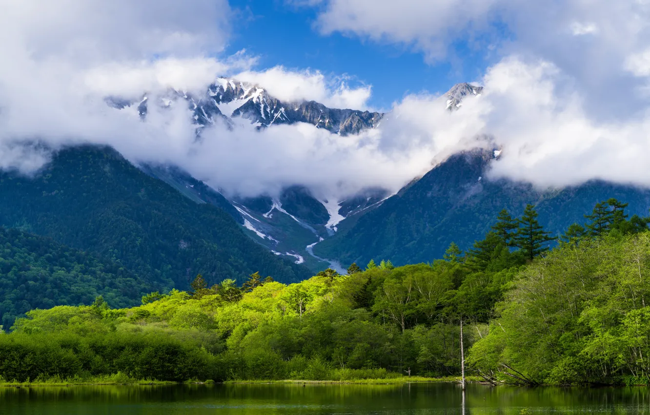 Photo wallpaper forest, clouds, mountains, nature, lake