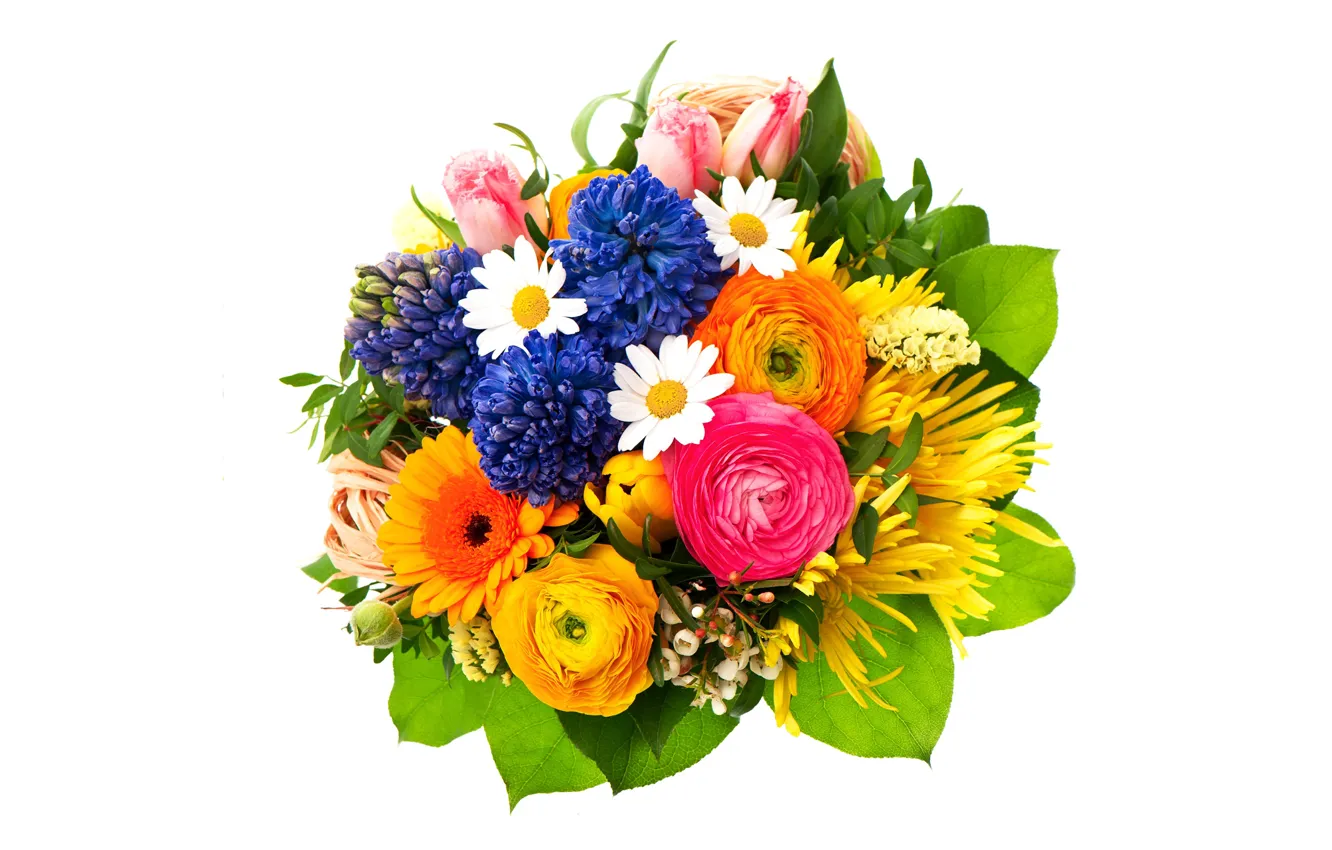 Photo wallpaper flowers, chamomile, bouquet, tulips, white background, gerbera, buttercups, hyacinths
