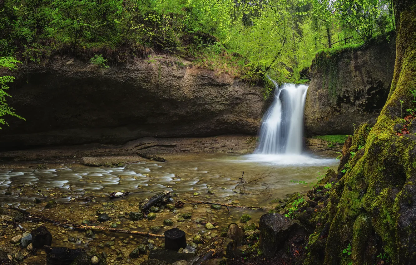 Photo wallpaper vegetation, waterfall, panorama
